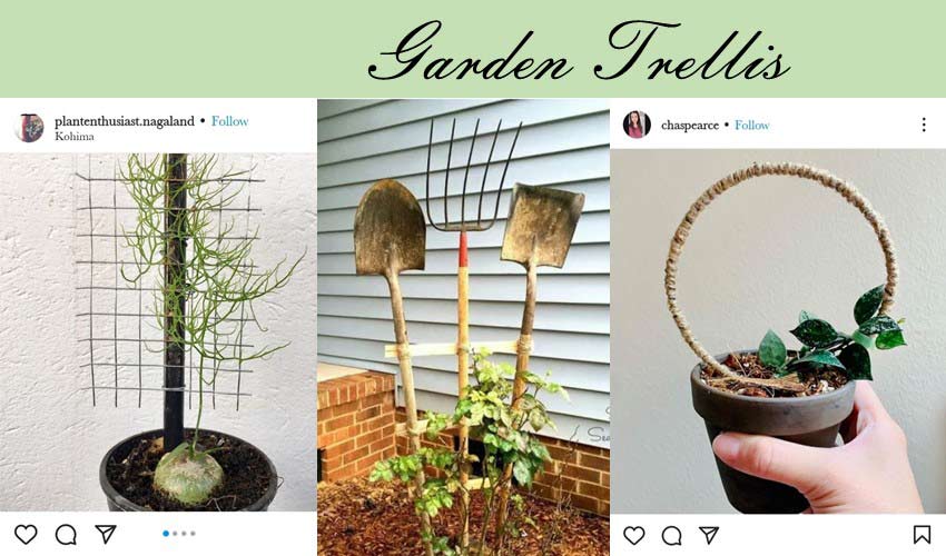 garden-trellis-diy-garden-project-ideas.jpg
