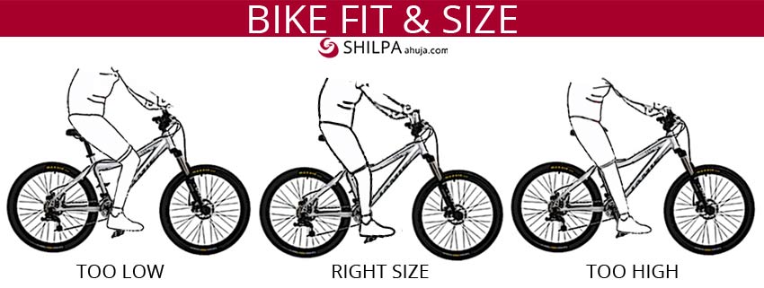 how to buy a bicycle for adults BIKE-FIT-&-SIZE