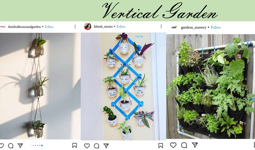 vertical-garden-diy-garden-project-ideas.jpg