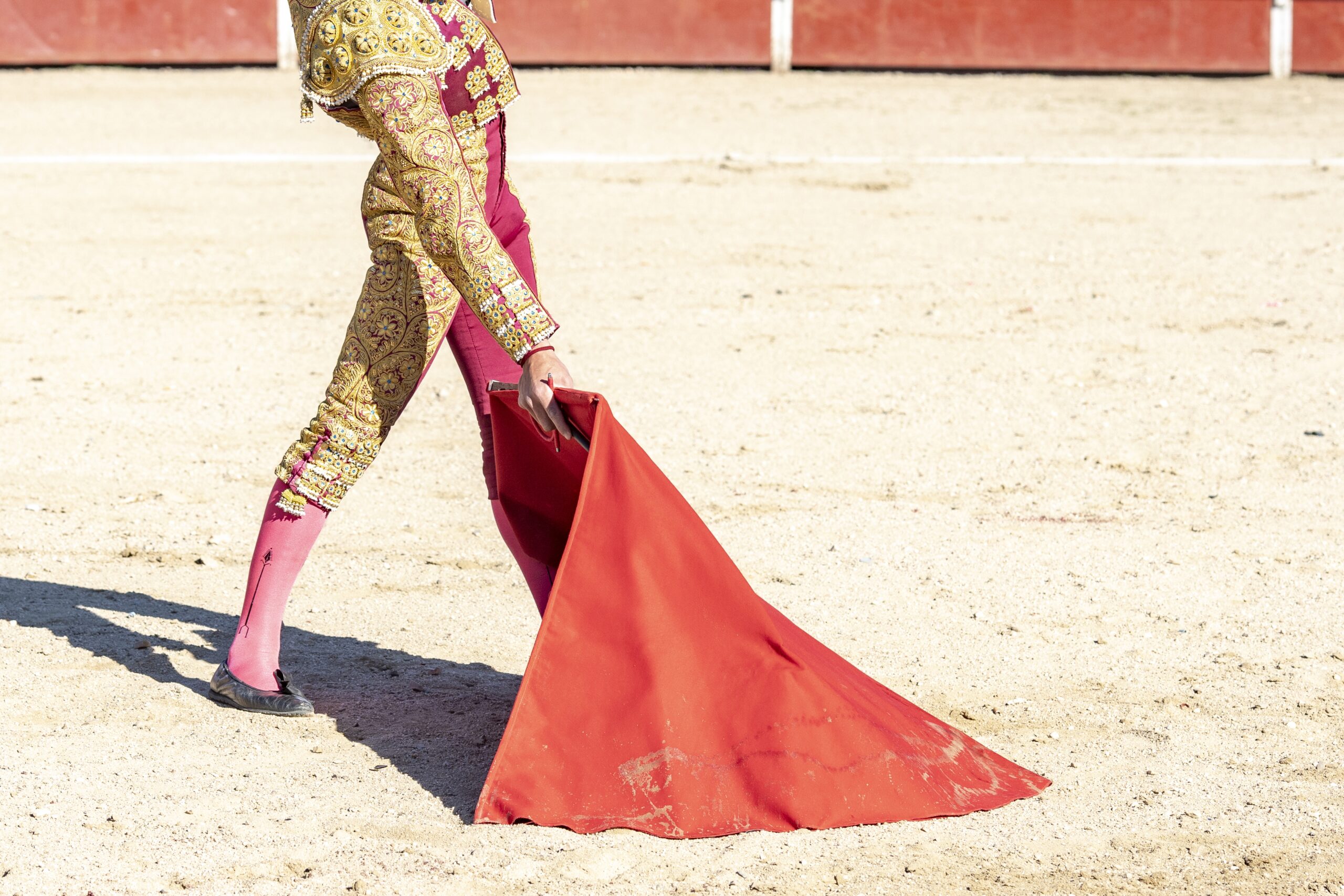 Picture of a bullfighter or matador in traditional clothes and red fabric