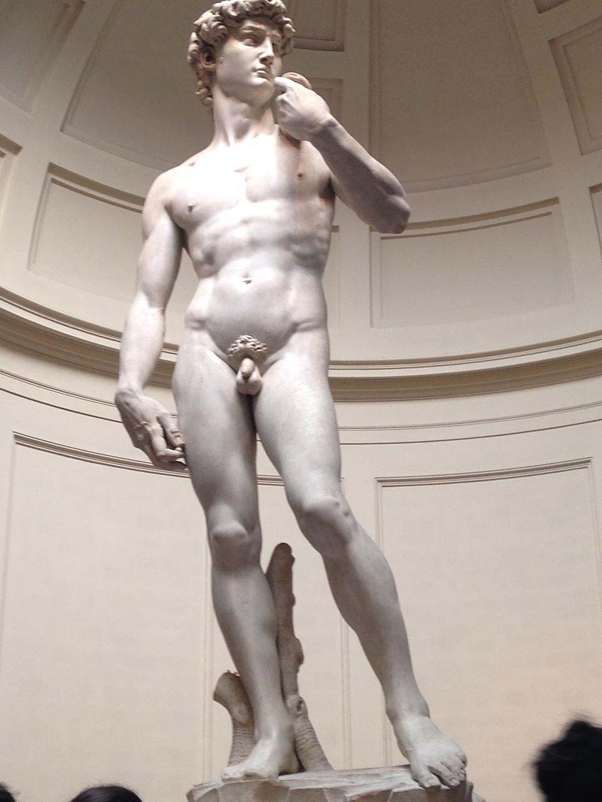 David-of-Michelangelo-florence-art-history
